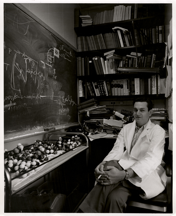 Nobel Laureate Dr. Marshall Nirenber, 1962 Dr. Marshall Nirenburg in his office with chalkboard and molecular models. He shared the 1968 Nobel Prize in Physiology or Medicine for his work on deciphering the genetic code. (I had the honor of working in the Laboratory of Biochemical Genetics at the National Institutes of Health, where Marshall is laboratory chief.) Photo courtesy of National Library of Medicine Profiles in Science.